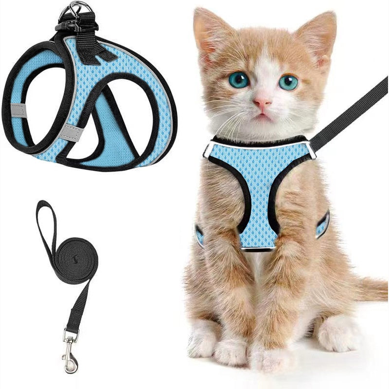 Breathable reflective mesh harness in lake blue on a cat