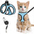 Breathable reflective mesh harness in lake blue on a cat