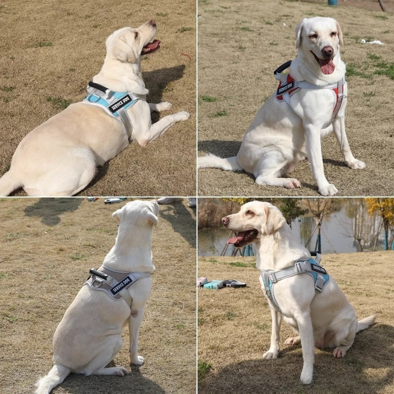 Reflective breathable dog vest harness with lead, product image 5