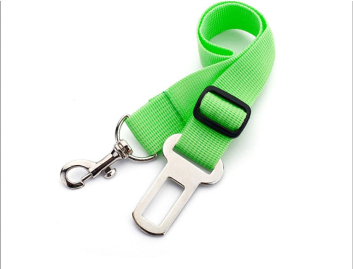 Adjustable nylon pet car seat belt lead with alloy clip in blue, view 11