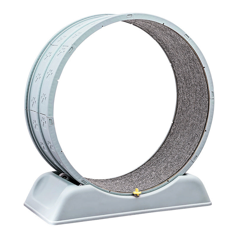 Quiet cat exercise wheel with a soft carpet track