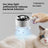 Steam Spray Cat Comb with UV Sterilisation Light